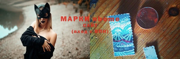 индика Воткинск