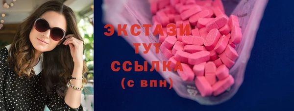 мдпв Рославль