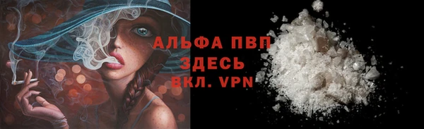 мдпв Рославль