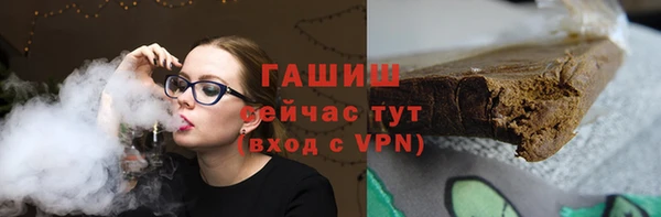 мдпв Рославль