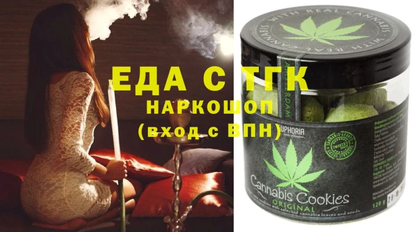 мдпв Рославль