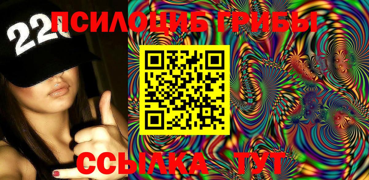 Братск  сколько стоит  Вход с VPN  Псилоцибиновые грибы Magic Shrooms 